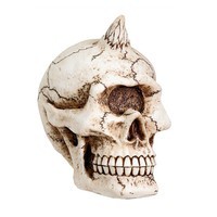 Summit Collection Cyclops Skull